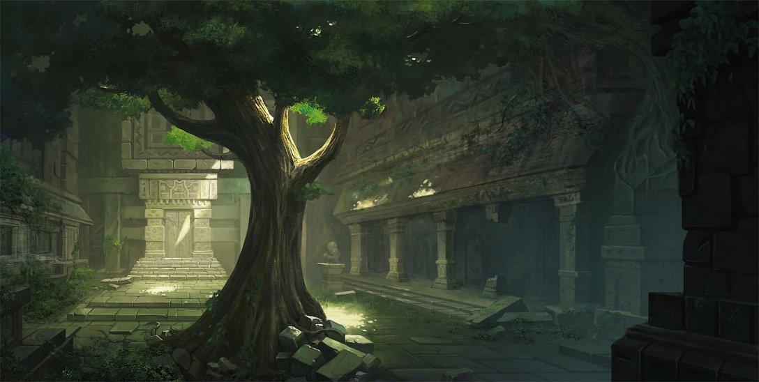 完美的收藏品